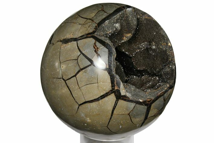 Round Septarian Geode ( Lbs) - Madagascar #124503